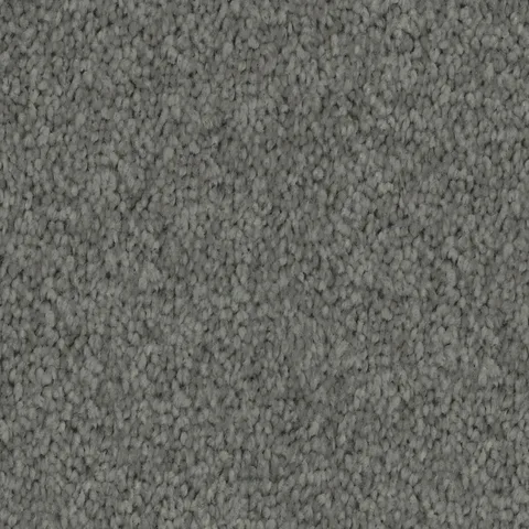 Dark Grey carpet swatch